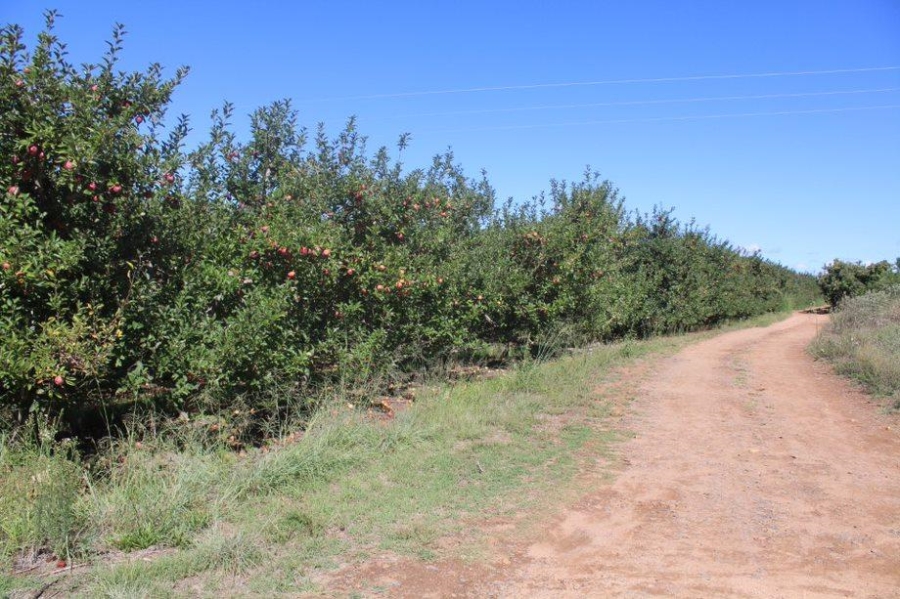 0 Bedroom Property for Sale in Haarlem Western Cape